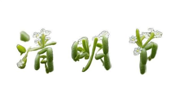 60年一遇！今年清明不一般，上坟提醒：3个点不去，3人不去