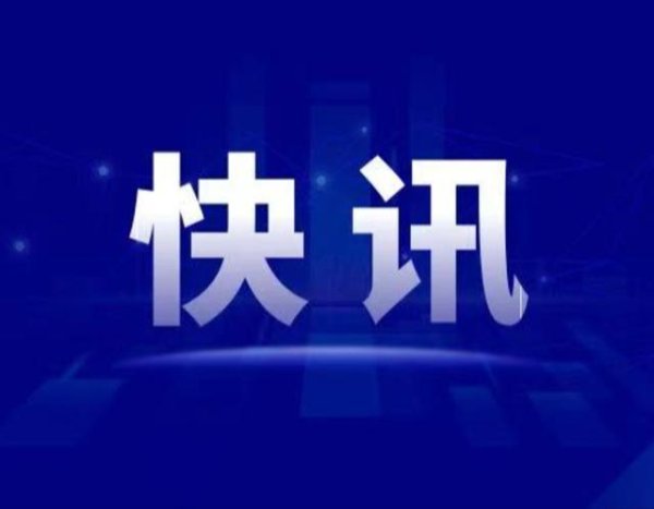 ST葫芦娃：独立董事林慧离任
