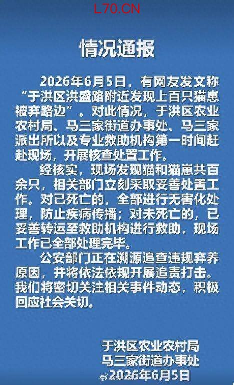 沈阳于洪区发现上百只猫崽被弃路边，很多被车压死！官方发布最新通报：已妥善处置，公安正追查违规弃养原因，将依法依规开展追责打击
