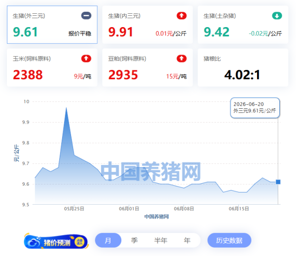 06月20日猪评：涨跌两难！端午期间猪价乏力，供强需弱格局短期难解